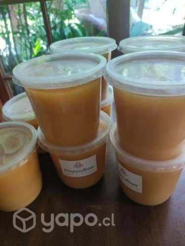 Miel pura traída desde lago todos los santos