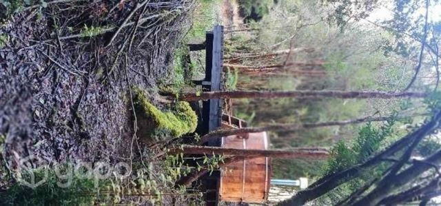 Vendo terreno en chiloe