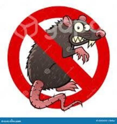 Desratización de roedores
