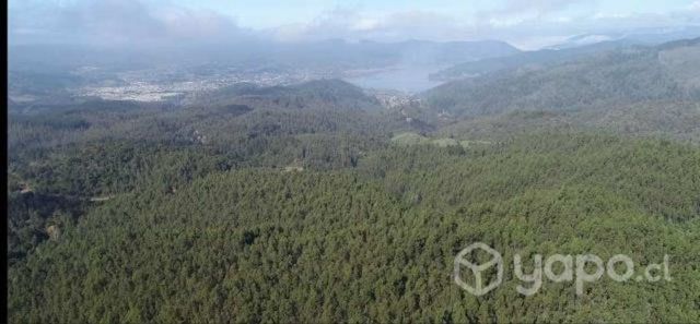 Con vista al mar y a la cordillera. Parcela única. Conversable