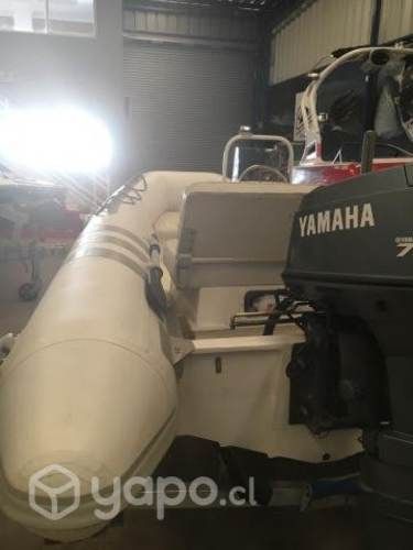 Semirrígido americano &quot;Alliance&quot;