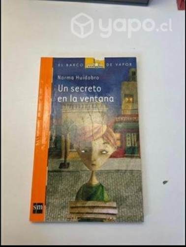 Libro Un secreto en la ventana