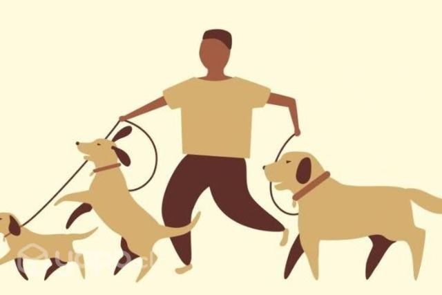 Paseo y baño de perros