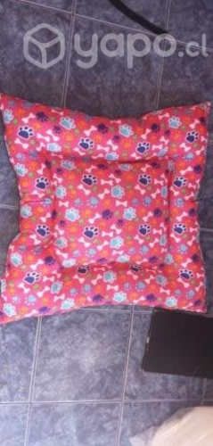 Accesorios de perritos