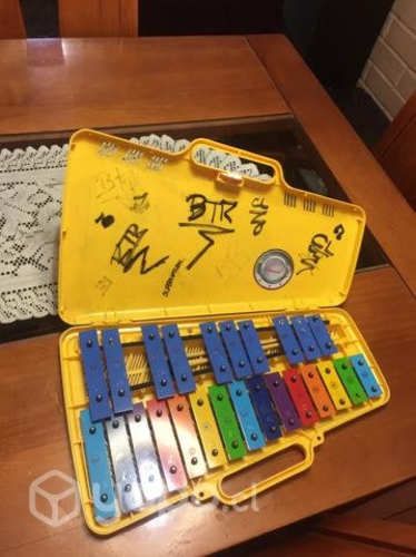 Metalofono 25 teclas