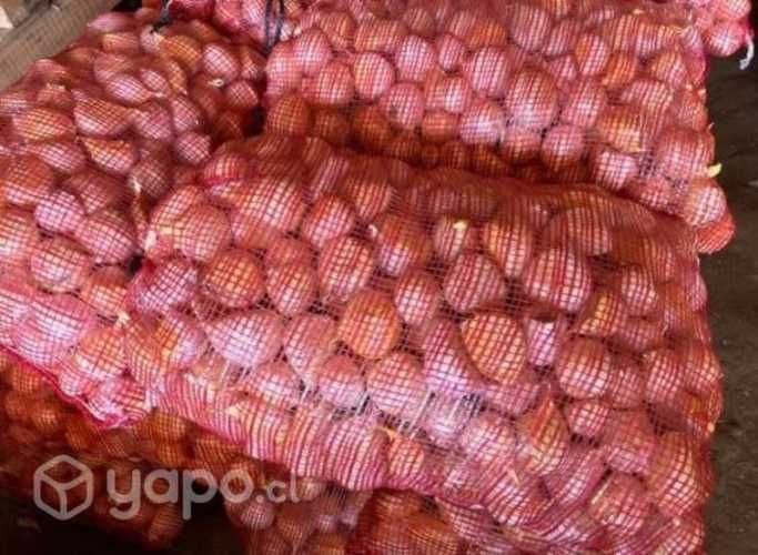 Ajo chilote al por mayor