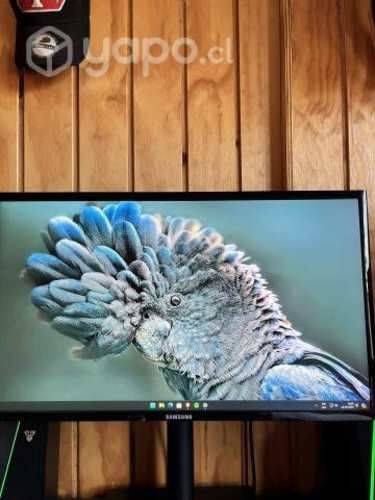 Monitor Samsung 72hz conversable