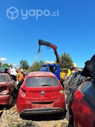 Portalon brillante h220