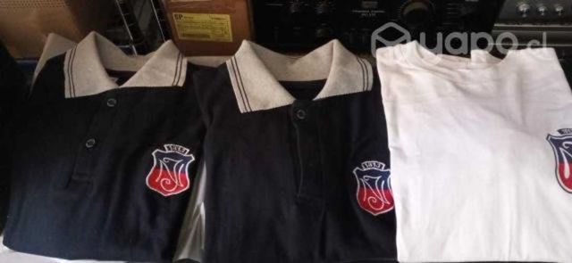 Poleras Instituto Nacional Pique