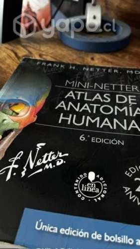Atlas de anatomía Netter