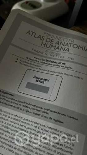 Atlas de anatomía Netter