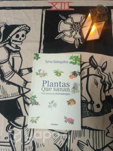 Plantas que sanan: Guía práctica de aromaterapia