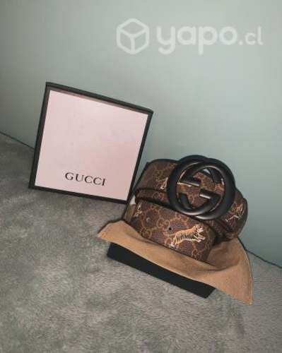 Cinturon Gucci
