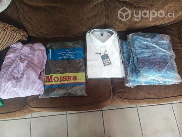 Camisas de trabajo y formales