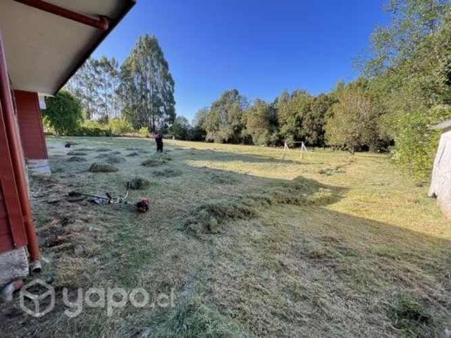 Corte de pasto y mantención de jardines