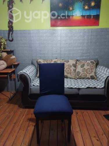 Pack de 6 fundas elasticadas