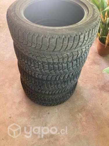 NEUMATICOS Wintermax 225/55R17