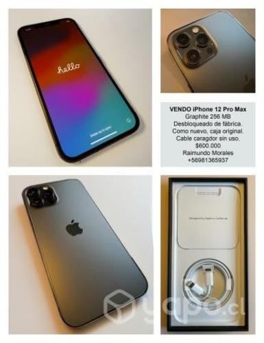 Apple iPhone 12 Pro Max (256 GB) - Grafito