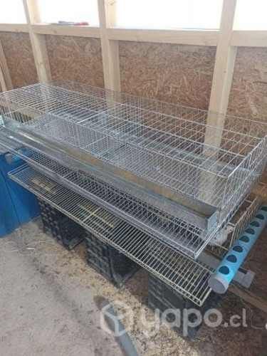Jaula profesional codorniz de ppostura