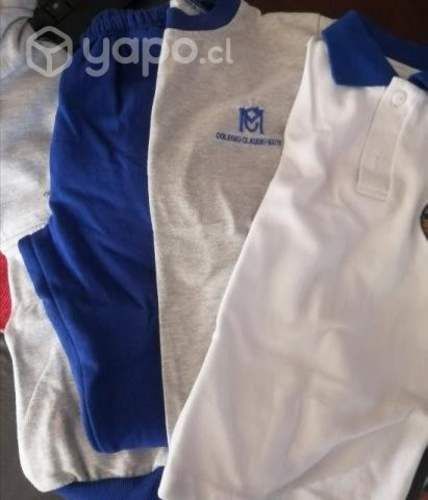 Buzo colegio Claudio Matte