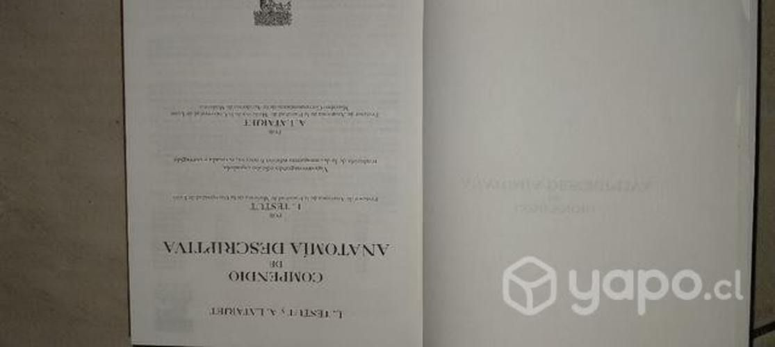 Compendio de anatomía descriptiva original