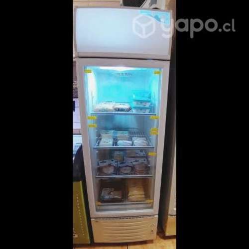 Visicooler 260 litros