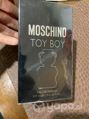 Moschino toy boy