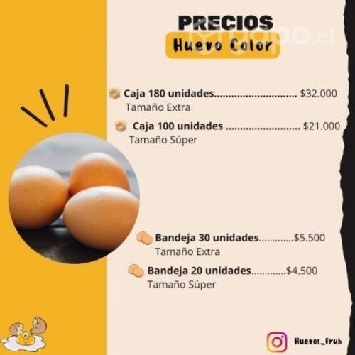 Venta de huevos en caja y en bandejas