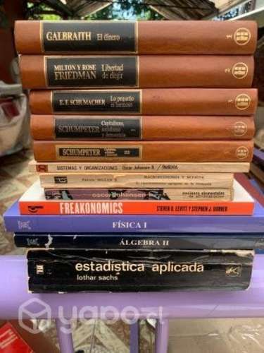 Liquido lote libros economia y negocios
