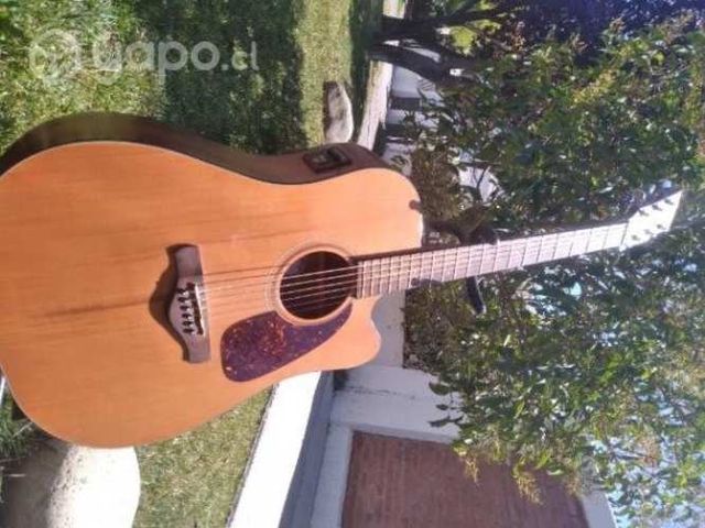 Ibanez artwood series