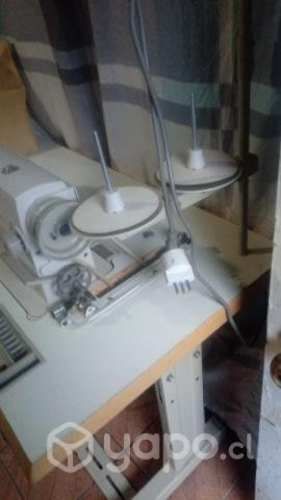 Maquina coser industrial recta