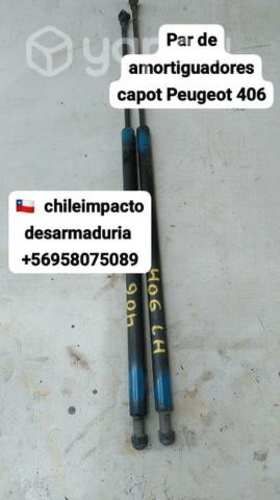Par de amortiguadores Peugeot 406