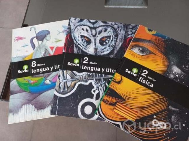 Libros octavo y segundo medio