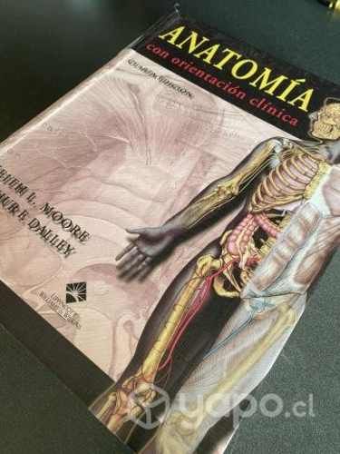 Libro Anatomia con oritencacion clinica. Moore