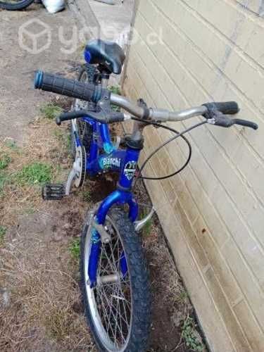 bicicleta Bianchi Wolf