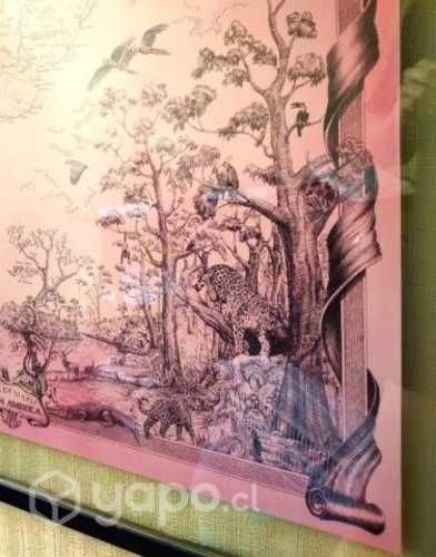 Cuadro lámina America Latina