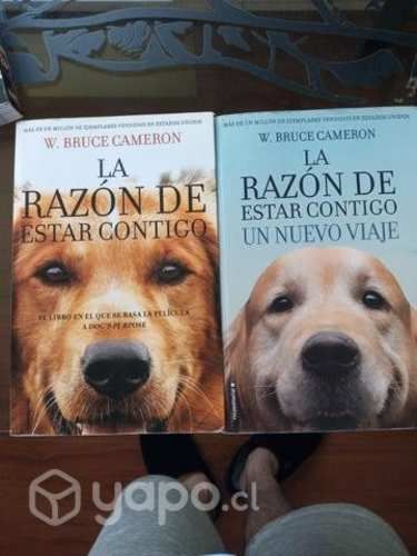 Lote La razon de estar contigo