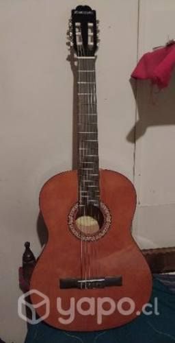 Guitarra suzuki adulto