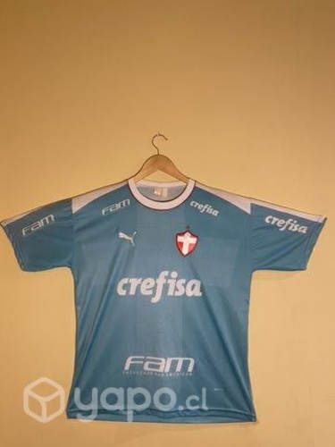 Polera Palmeiras diseño 1915