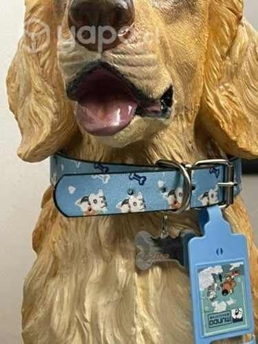 Estatuas de Perros salchicha y golden