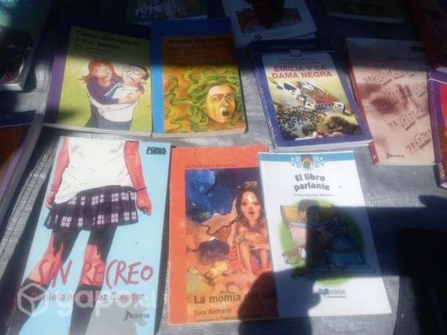 Lectura complementaria Papaito piernas largas