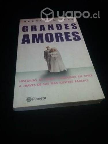 Libro de Grandes amores de Hernán Millas