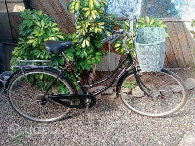 Bicicleta Lahsen