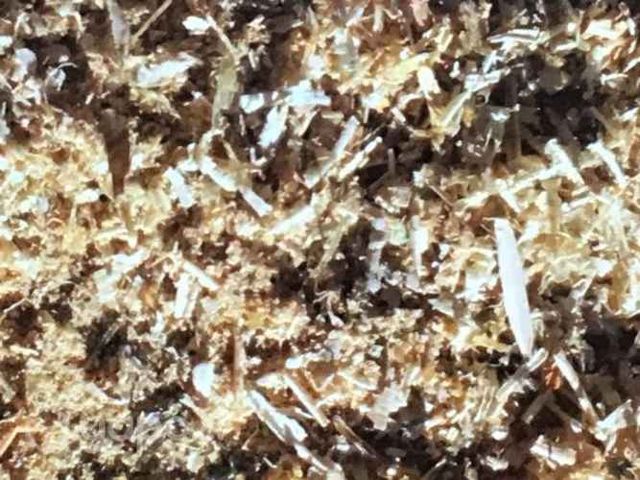 Aserrin y viruta pesebres mascotas etc