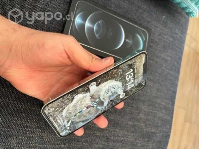 Iphone 12 pro max 256 gb silver apple