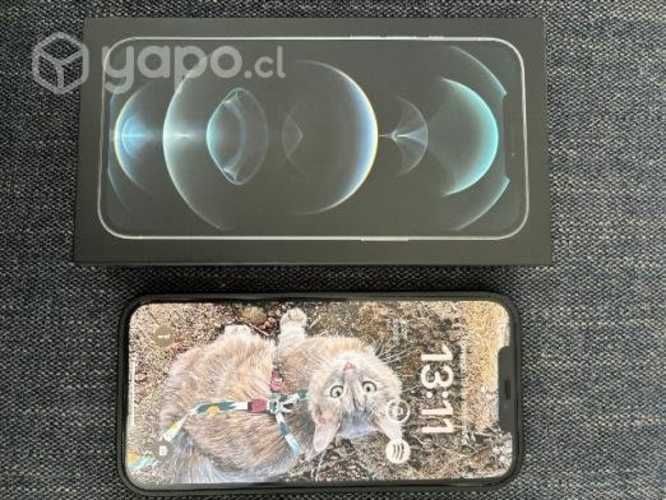 Iphone 12 pro max 256 gb silver apple