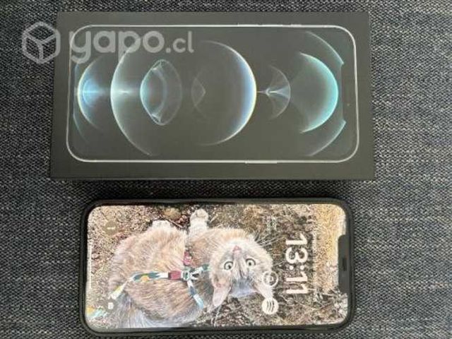 Iphone 12 pro max 256 gb silver apple