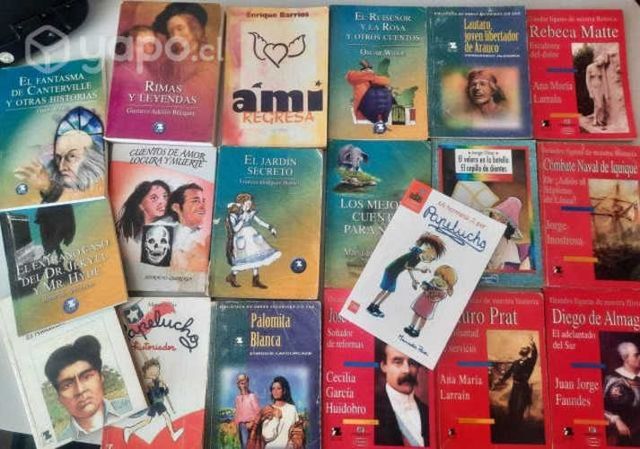 Lote de 19 libros