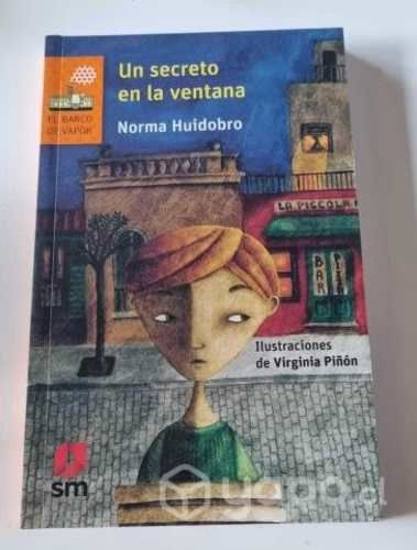 Libro Un secreto en la ventana / Norma Huidobro
