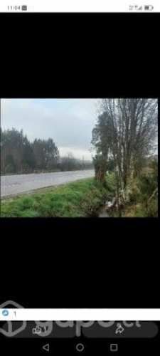 Se vende una ectareadeterreno